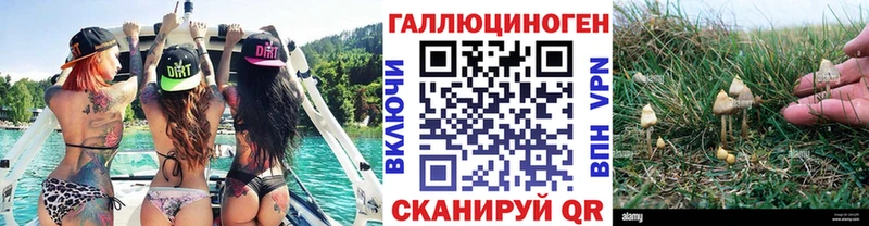 Галлюциногенные грибы Cubensis  закладка  Мурманск 