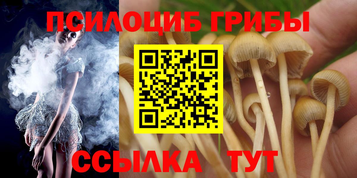 Галлюциногенные грибы MAGIC MUSHROOMS Мурманск